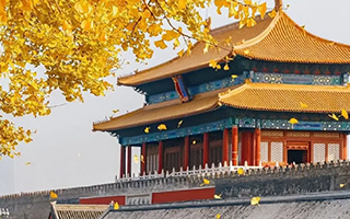 成都旅游攻略：必去景点美食全揭秘，带你玩转天府之国